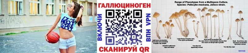 Псилоцибиновые грибы прущие грибы Чаплыгин